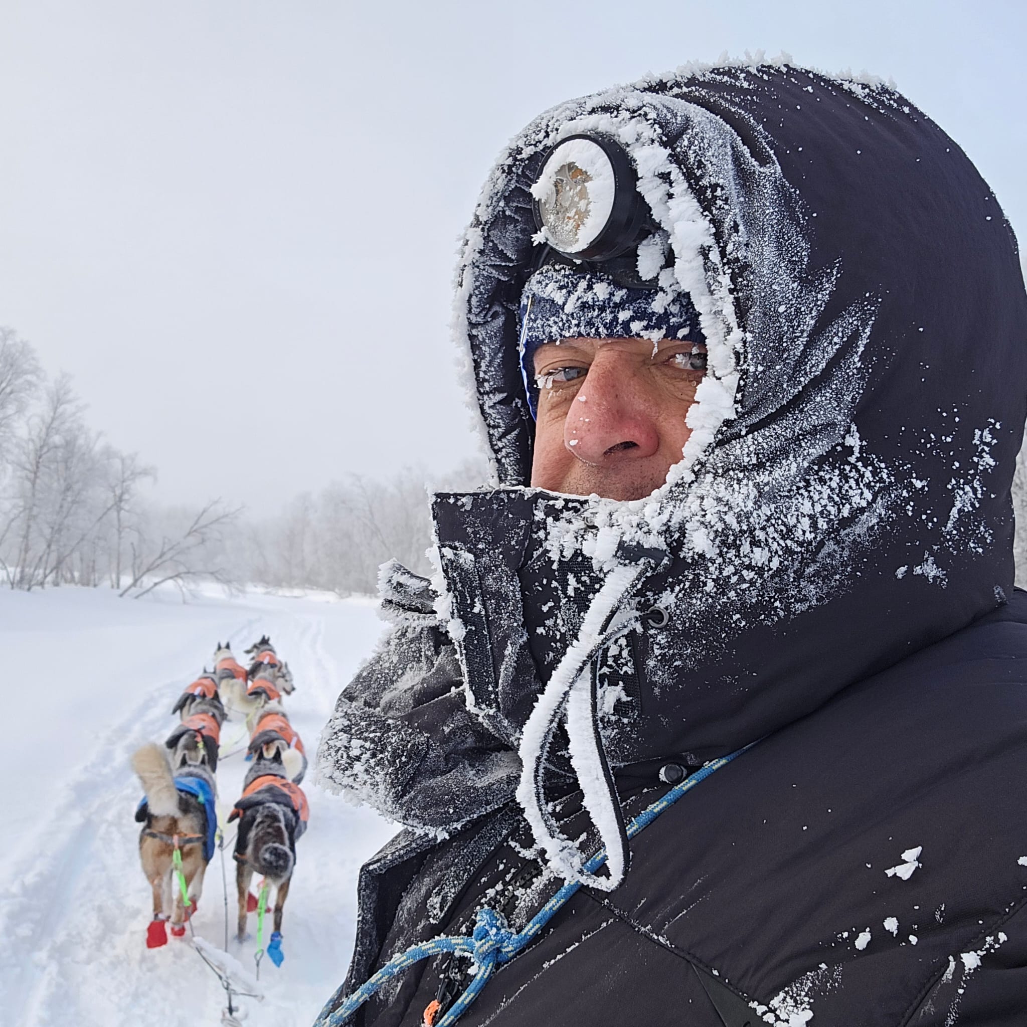 Baltasar Gallardo acaba la Finnmarksløpet: "La experiencia ha sido brutal" Baltasar Gallardo acaba la Finnmarksløpet: "La experiencia ha sido brutal"