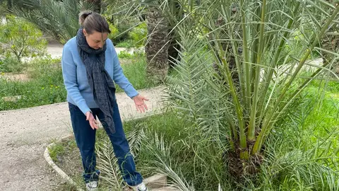 La concejal del PSOE de Elche María José Martínez en el huerto de Montenegro. La concejal del PSOE de Elche María José Martínez en el huerto de Montenegro.