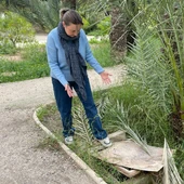 La concejal del PSOE de Elche María José Martínez en el huerto de Montenegro. La concejal del PSOE de Elche María José Martínez en el huerto de Montenegro.