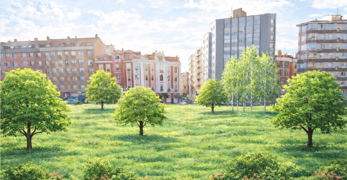 No habrá bosque urbano en el solarón "por el momento" No habrá bosque urbano en el solarón "por el momento"