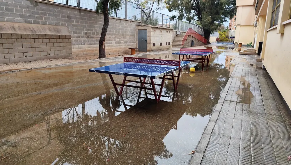 Colegio El Palmeral Colegio El Palmeral