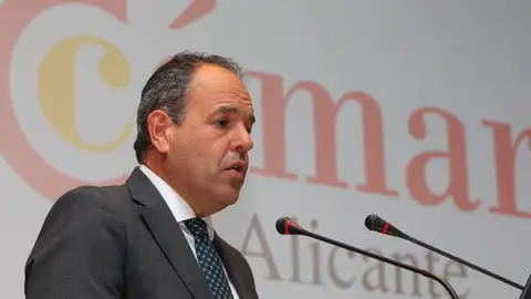 El presidente de la Cámara de Comercio de Alicante, Carlos Baño. El presidente de la Cámara de Comercio de Alicante, Carlos Baño.