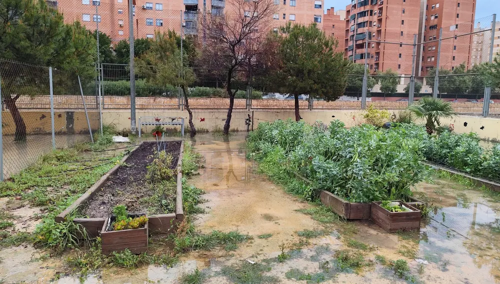 Colegio El Palmeral Colegio El Palmeral