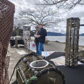 A Festa da Ostra chega cun programa de alto nivel para ensalzar o produto máis típico de Arcade