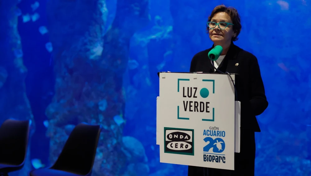 Carmen Moriyón, alcaldesa de Gijón, en la entrega de los II Premios Luz Verde Asturias Carmen Moriyón, alcaldesa de Gijón, en la entrega de los II Premios Luz Verde Asturias