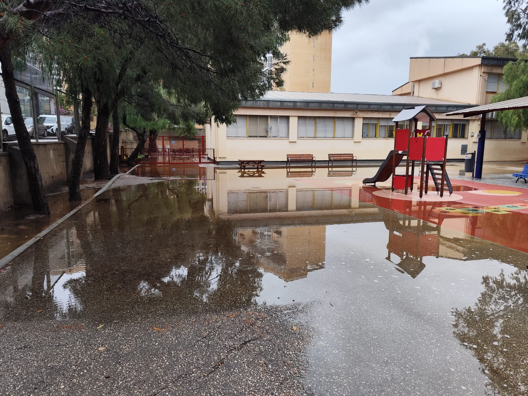 Dirección y familias del colegio El Palmeral denuncian décadas de abandono y piden reformas urgentes Dirección y familias del colegio El Palmeral denuncian décadas de abandono y piden reformas urgentes
