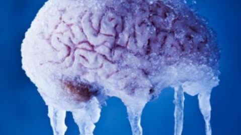 Cerebro criogenizado