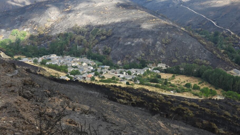 Zona calcinada tras los incendios en Pobladura de la Sierra (Le&oacute;n)