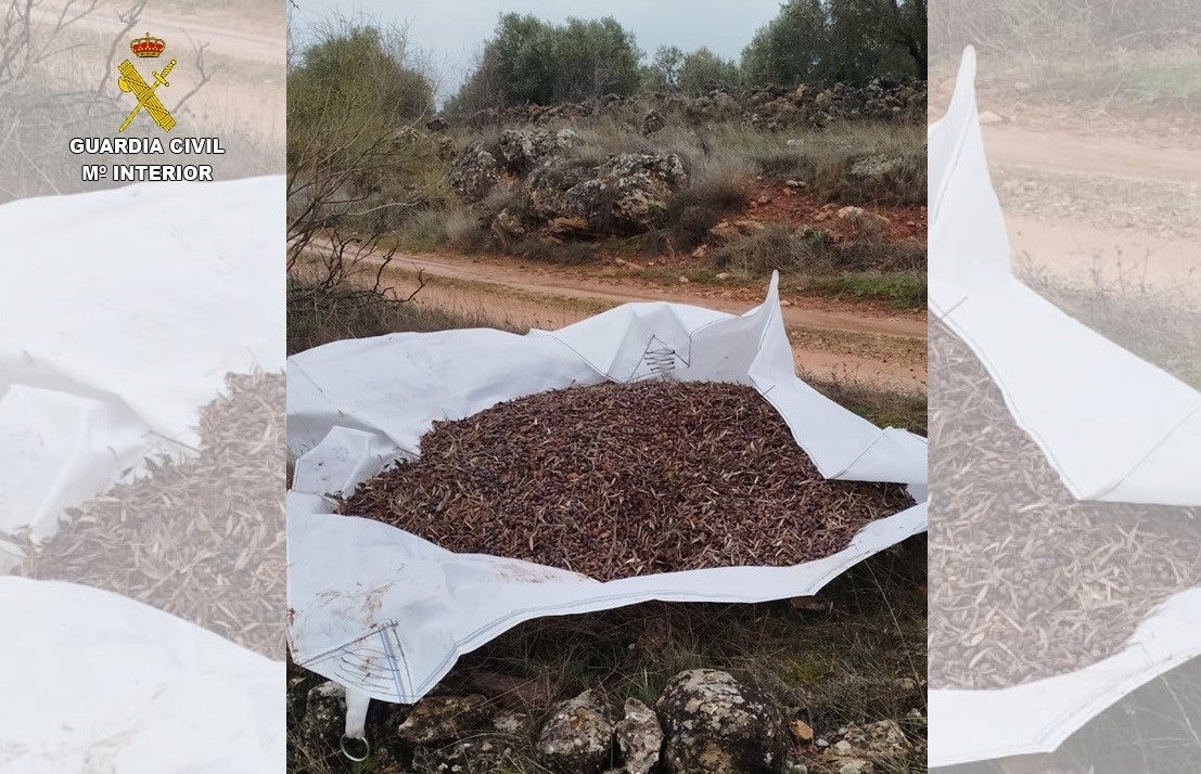 19 detenidos y 11 investigados por hurtar aceituna en Campo de Montiel 19 detenidos y 11 investigados por hurtar aceituna en Campo de Montiel
