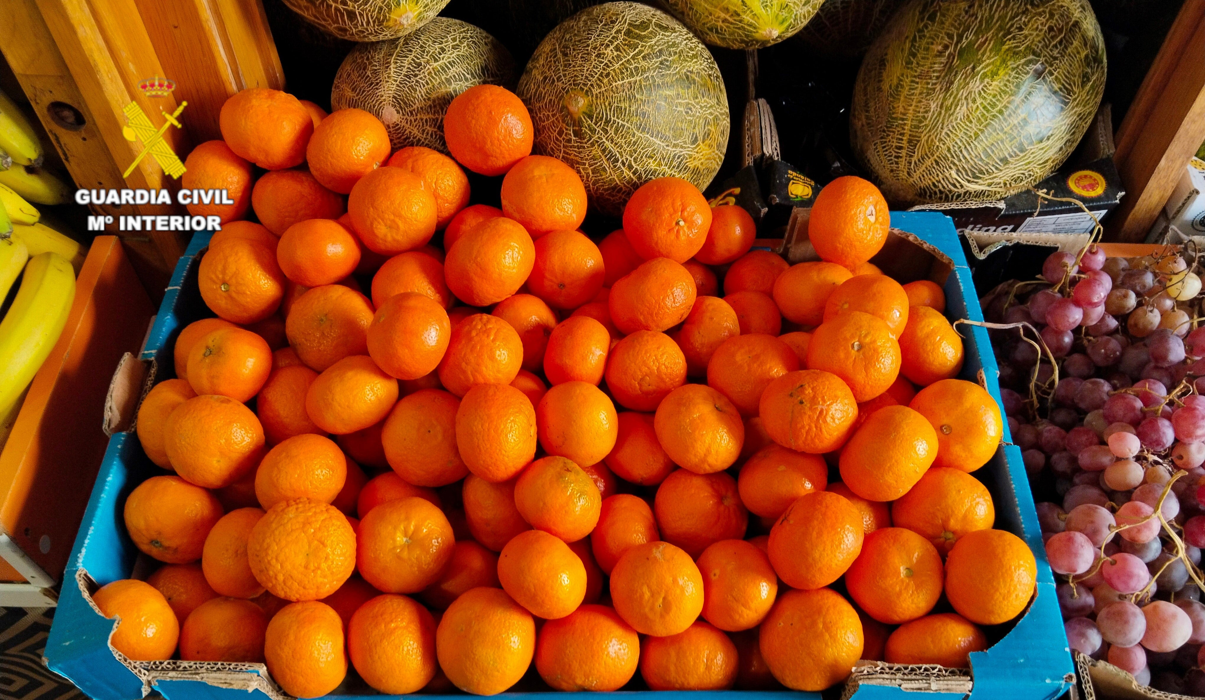 Investigado un hombre por falsedad documental al vender fruta con albaranes falsos en Castellón Investigado un hombre por falsedad documental al vender fruta con albaranes falsos en Castellón