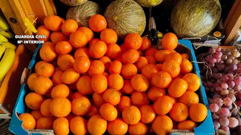 Investigado un hombre por falsedad documental al vender fruta con albaranes falsos en Castellón Investigado un hombre por falsedad documental al vender fruta con albaranes falsos en Castellón