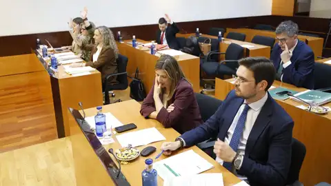 Rechazadas las enmiendas de VOX y PP, una de ellas relativa a la carrera profesional Rechazadas las enmiendas de VOX y PP, una de ellas relativa a la carrera profesional