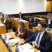 Rechazadas las enmiendas de VOX y PP, una de ellas relativa a la carrera profesional Rechazadas las enmiendas de VOX y PP, una de ellas relativa a la carrera profesional