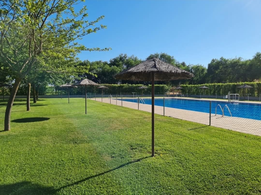 El consistorio contratará los servicios de restauración, socorrismo y limpieza en varias piscinas municipales El consistorio contratará los servicios de restauración, socorrismo y limpieza en varias piscinas municipales