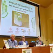 Presentación del informe FOESSA en Cádiz Presentación del informe FOESSA en Cádiz