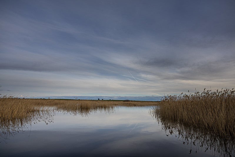 Las Tablas de Daimiel alcanzan el máximo de inundación, 1.500 hectáreas Las Tablas de Daimiel alcanzan el máximo de inundación, 1.500 hectáreas