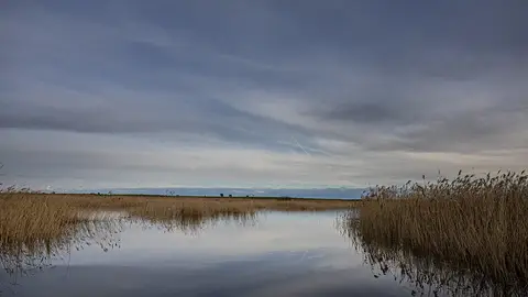 Tablas de Daimiel Tablas de Daimiel