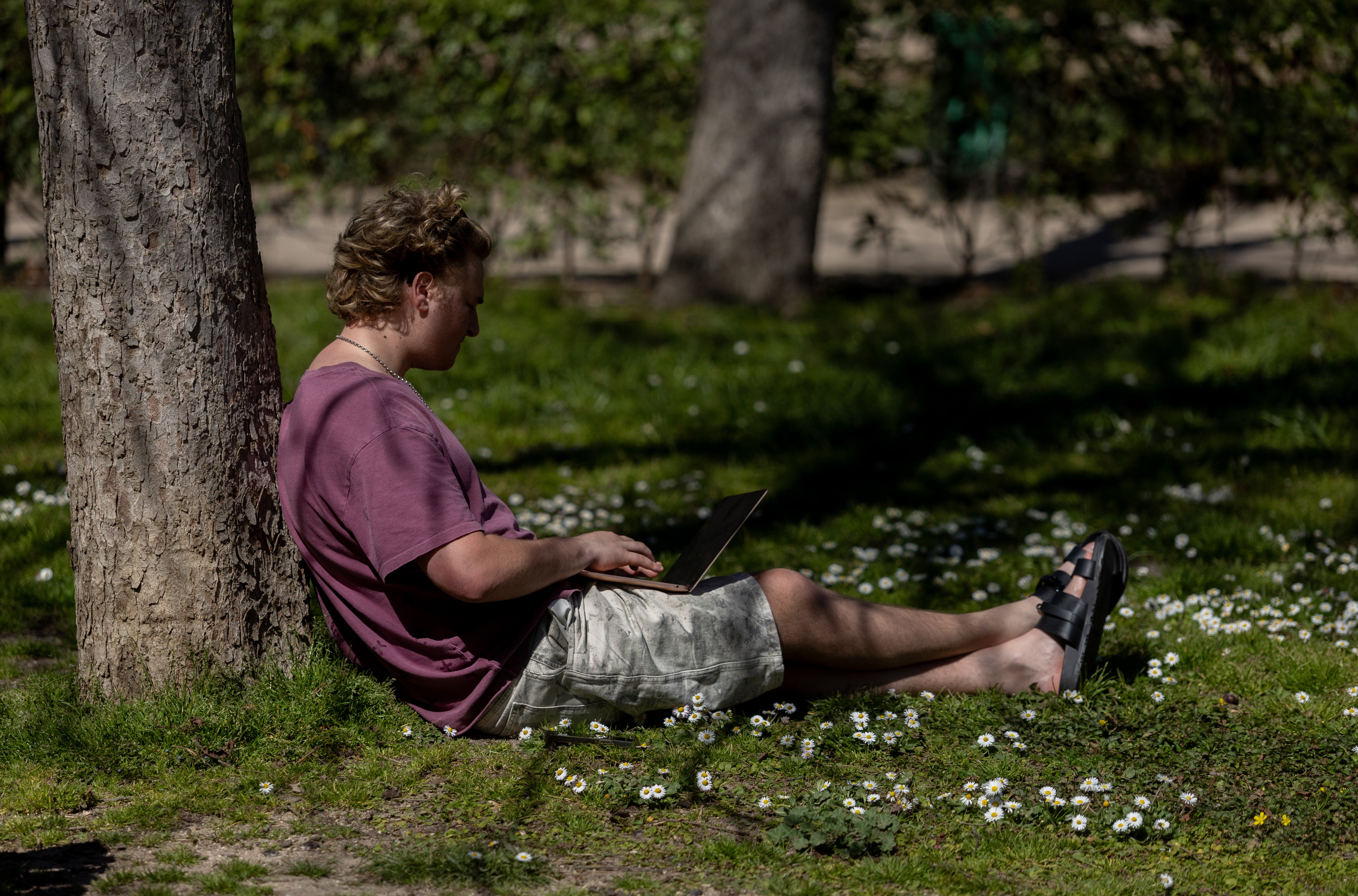 Una persona sentada en el césped de un parque en Madrid Una persona sentada en el césped de un parque en Madrid