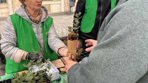 Promueve Palencia y AECC "plantan un árbol por la vida" .