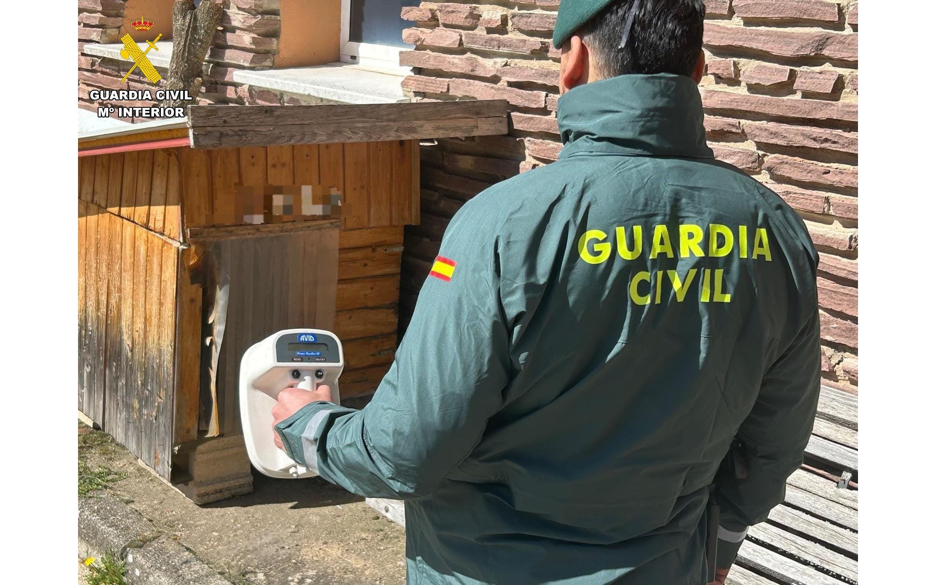 Investigado por sacrificar a su perro tras un ataque a otro can Investigado por sacrificar a su perro tras un ataque a otro can