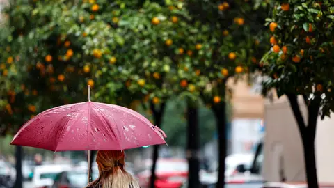 En la imagen, una persona camina bajo la lluvia en el centro de València, en el mes de diciembre. En la imagen, una persona camina bajo la lluvia en el centro de València, en el mes de diciembre.