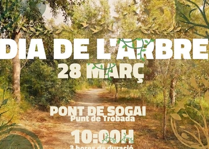 Altea celebrará el Día del Árbol con una jornada de plantación participativa Altea celebrará el Día del Árbol con una jornada de plantación participativa
