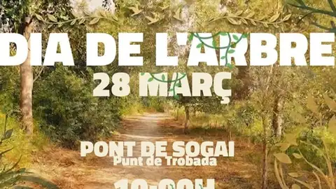 Altea celebrará el Día del Árbol con una jornada de plantación participativa Altea celebrará el Día del Árbol con una jornada de plantación participativa