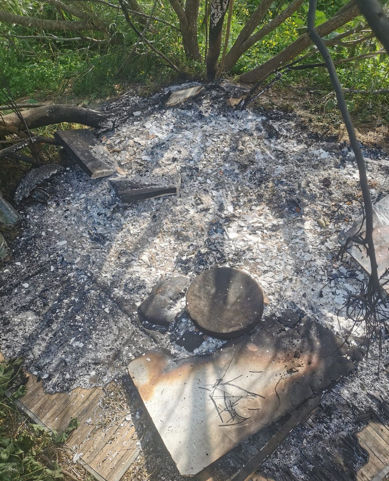 El Ayuntamiento de Puerto Real denuncia otro incendio "presuntamente intencionado" en una colonia de gatos El Ayuntamiento de Puerto Real denuncia otro incendio "presuntamente intencionado" en una colonia de gatos