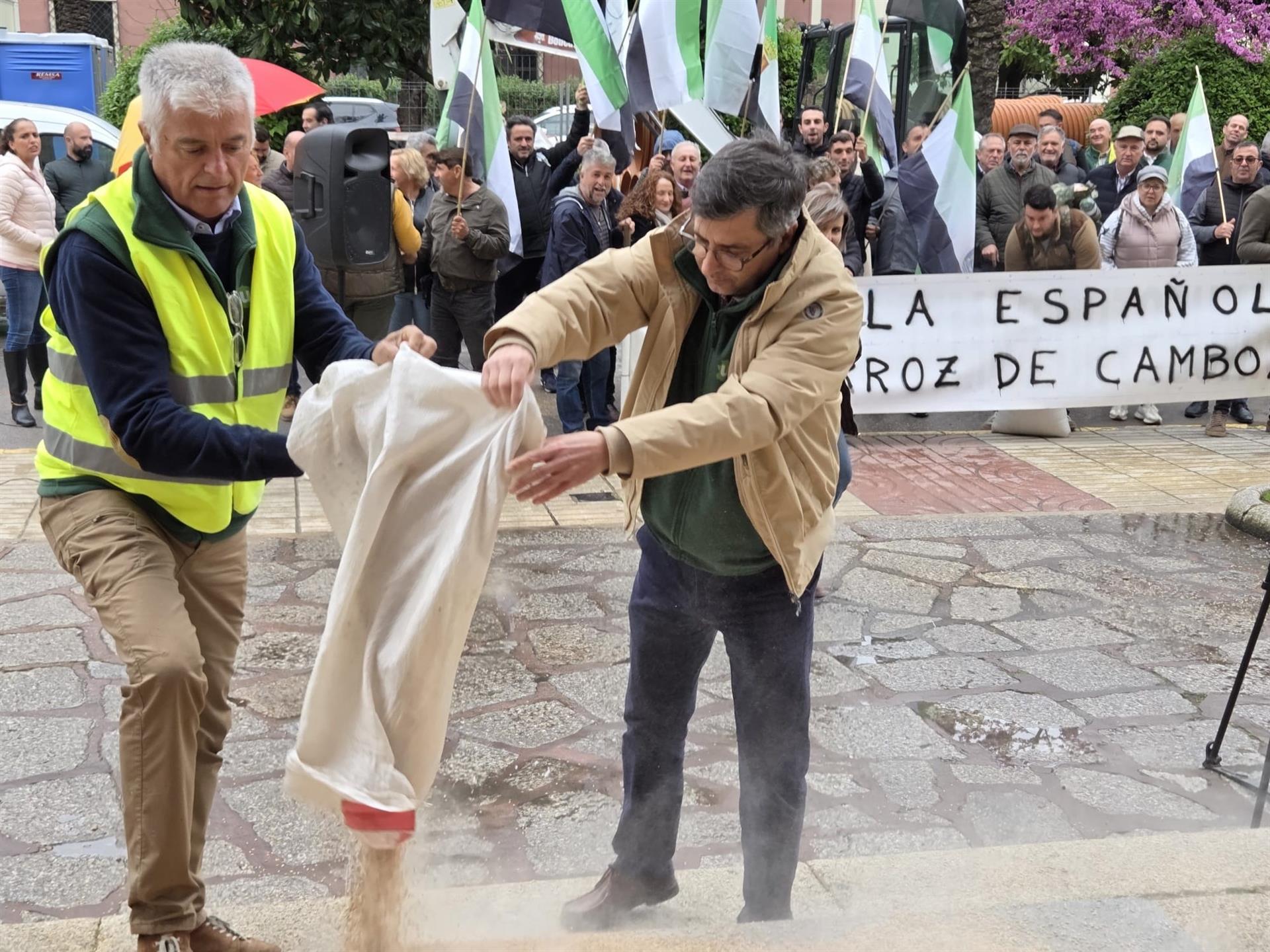 Organizaciones agrarias vierten arroz frente a Delegación del Gobierno en protesta por "situación crítica" sector Organizaciones agrarias vierten arroz frente a Delegación del Gobierno en protesta por "situación crítica" sector