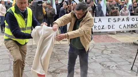 Organizaciones agrarias vierten arroz frente a Delegación del Gobierno en protesta por "situación crítica" sector Organizaciones agrarias vierten arroz frente a Delegación del Gobierno en protesta por "situación crítica" sector