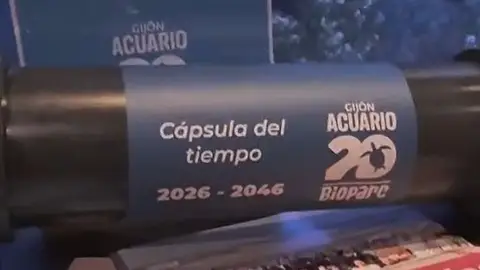 Cápsula del tiempo en 2026 Cápsula del tiempo en 2026