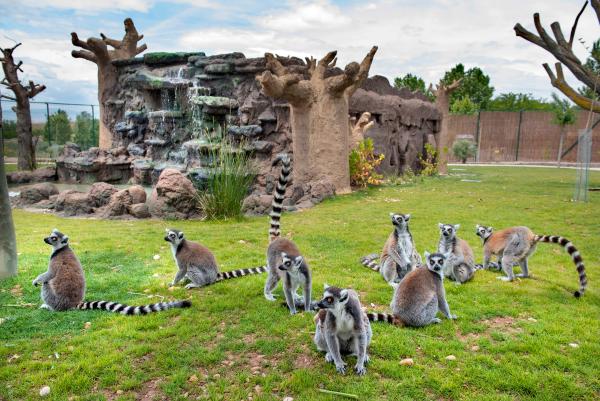 Sendaviva inicia una nueva temporada en la que aspira a superar los más de 188.000 visitantes del pasado año Sendaviva inicia una nueva temporada en la que aspira a superar los más de 188.000 visitantes del pasado año