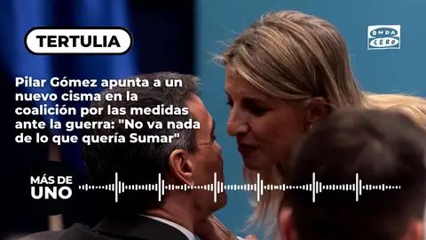 Pilar Gómez apunta a un nuevo cisma en el Gobierno de coalición por las medidas ante la guerra: "No va nada de lo que quería Sumar" Pilar Gómez apunta a un nuevo cisma en el Gobierno de coalición por las medidas ante la guerra: "No va nada de lo que quería Sumar"