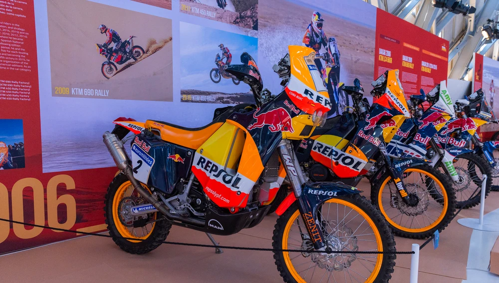 Exposición 'Reinas del desierto' Exposición 'Reinas del desierto'