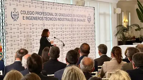 La Junta de Extremadura alerta de que el decreto por la guerra de Irán incluye "cambios" en el sistema eléctrico La Junta de Extremadura alerta de que el decreto por la guerra de Irán incluye "cambios" en el sistema eléctrico