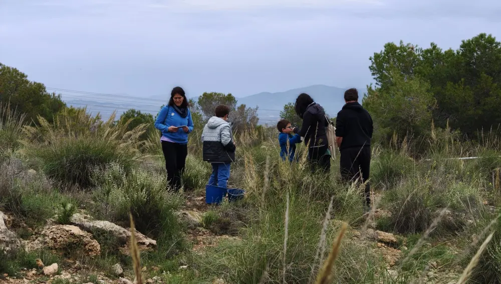 Una actividad en familia Una actividad en familia
