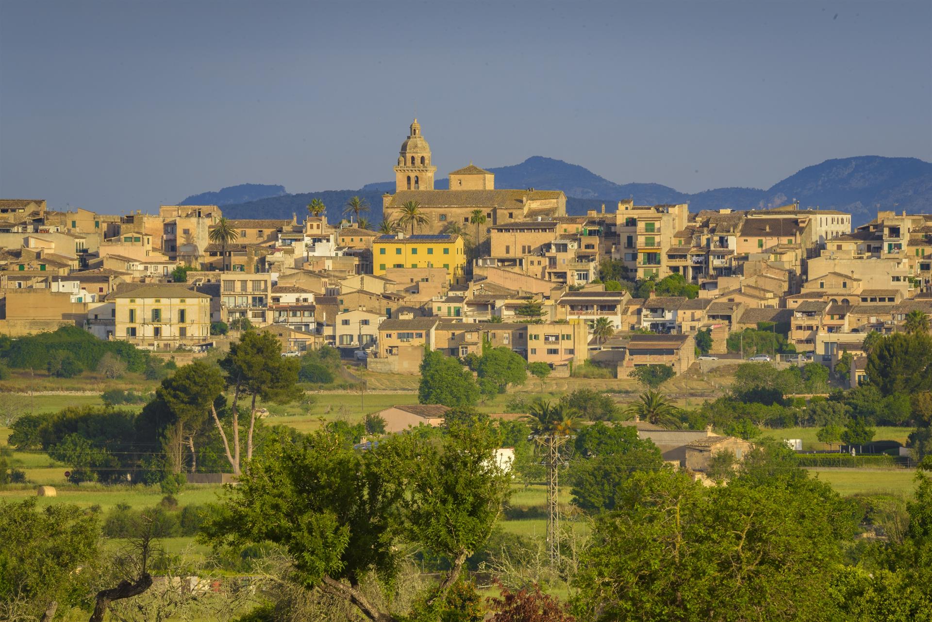 El Ayuntamiento de Montuïri decreta dos días de luto por el atropello mortal del niño de seis años en el municipio El Ayuntamiento de Montuïri decreta dos días de luto por el atropello mortal del niño de seis años en el municipio