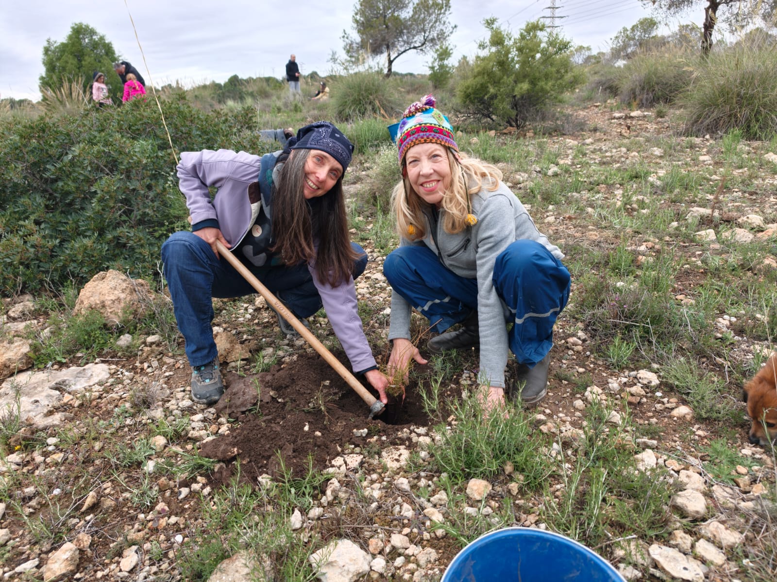 Alicante 'renace' con la Reforestación de Primavera del Monte Orgegia Alicante 'renace' con la Reforestación de Primavera del Monte Orgegia