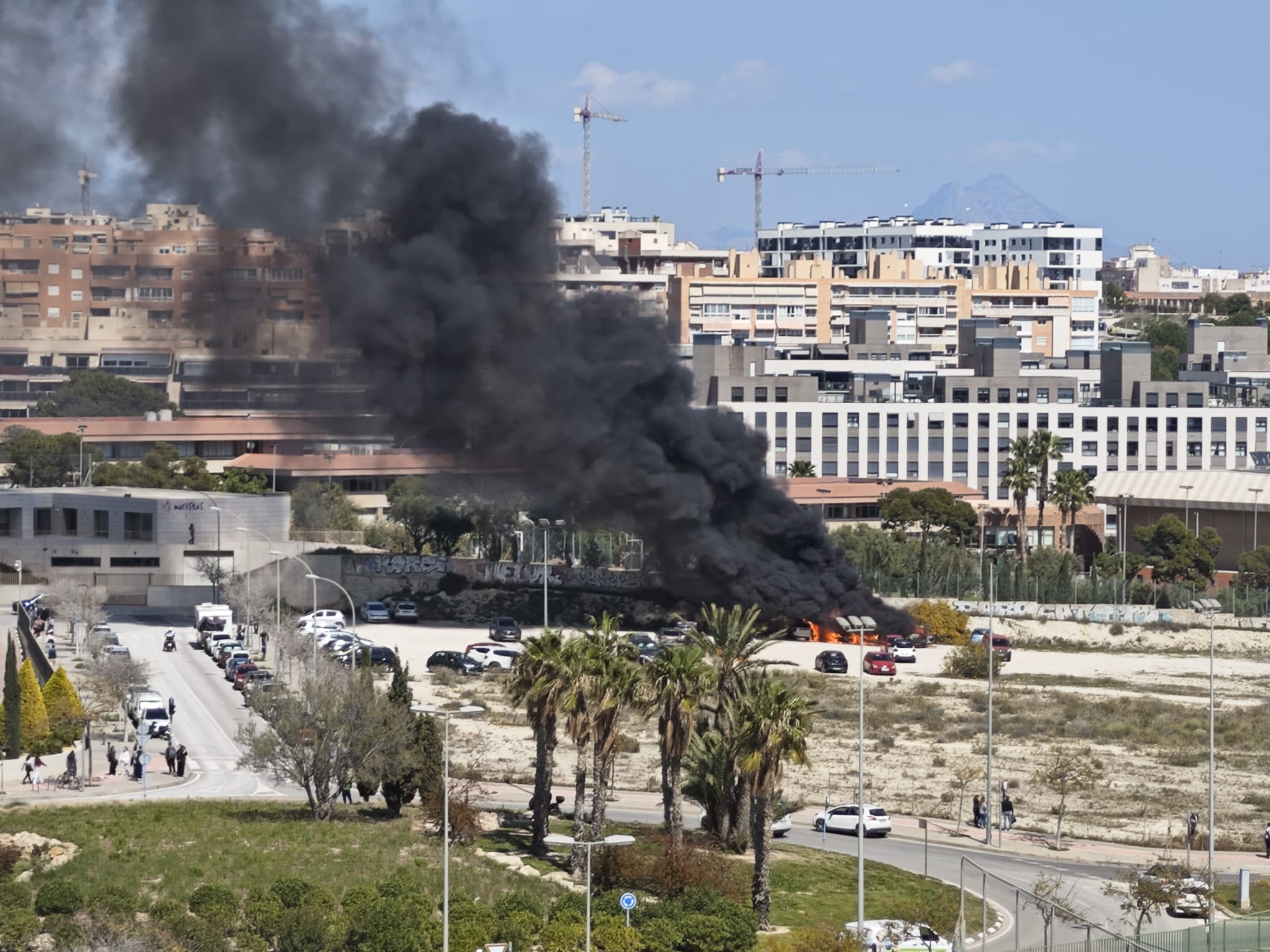 Arden cuatro coches aparcados en el PAU-1 junto a la sede de Cruz Roja y del Colegio Maristas Arden cuatro coches aparcados en el PAU-1 junto a la sede de Cruz Roja y del Colegio Maristas