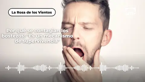 Por qué se contagian los bostezos: "Es un mecanismo de supervivencia" Por qué se contagian los bostezos: "Es un mecanismo de supervivencia"