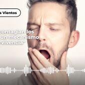 Por qué se contagian los bostezos: "Es un mecanismo de supervivencia"