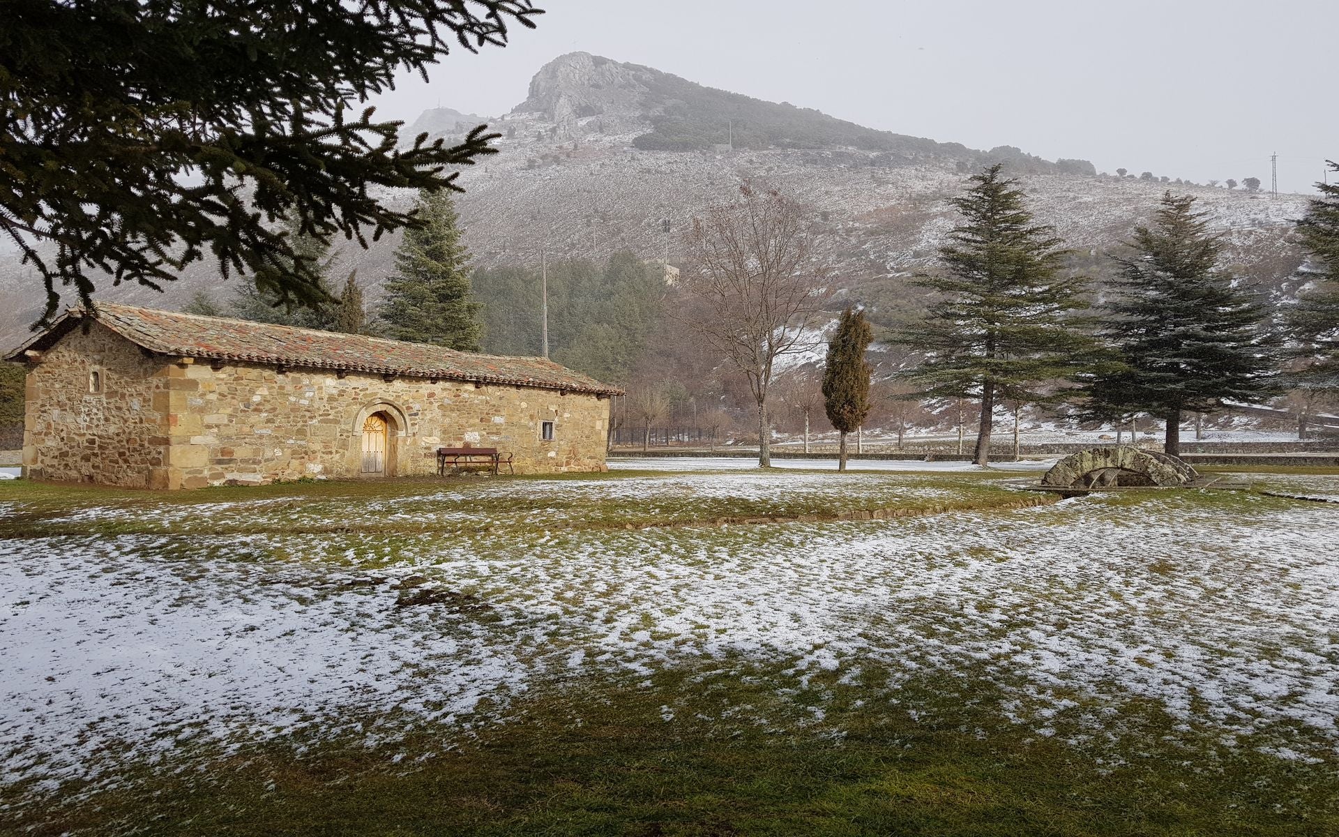 La Junta declara el cuarto Parque Micológico de Castilla y León denominado «Velilla del Río Carrión» La Junta declara el cuarto Parque Micológico de Castilla y León denominado «Velilla del Río Carrión»