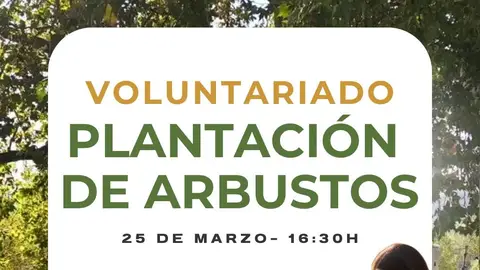 'Renace Tajo' prepara una nueva jornada de plantación de arbustos en Toledo 'Renace Tajo' prepara una nueva jornada de plantación de arbustos en Toledo