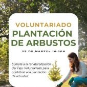 'Renace Tajo' prepara una nueva jornada de plantación de arbustos en Toledo