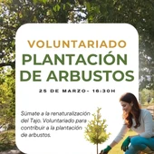 'Renace Tajo' prepara una nueva jornada de plantación de arbustos en Toledo 'Renace Tajo' prepara una nueva jornada de plantación de arbustos en Toledo