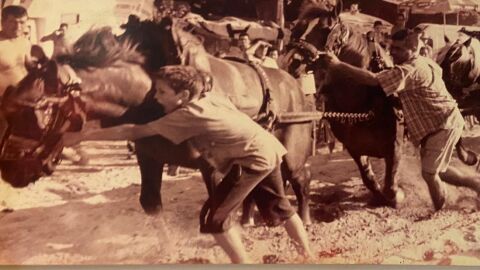 Imagen de las tres generaciones de la familia Alegre en un concurso de tiro y arrastre. 
