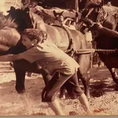 Imagen de las tres generaciones de la familia Alegre en un concurso de tiro y arrastre. Imagen de las tres generaciones de la familia Alegre en un concurso de tiro y arrastre.