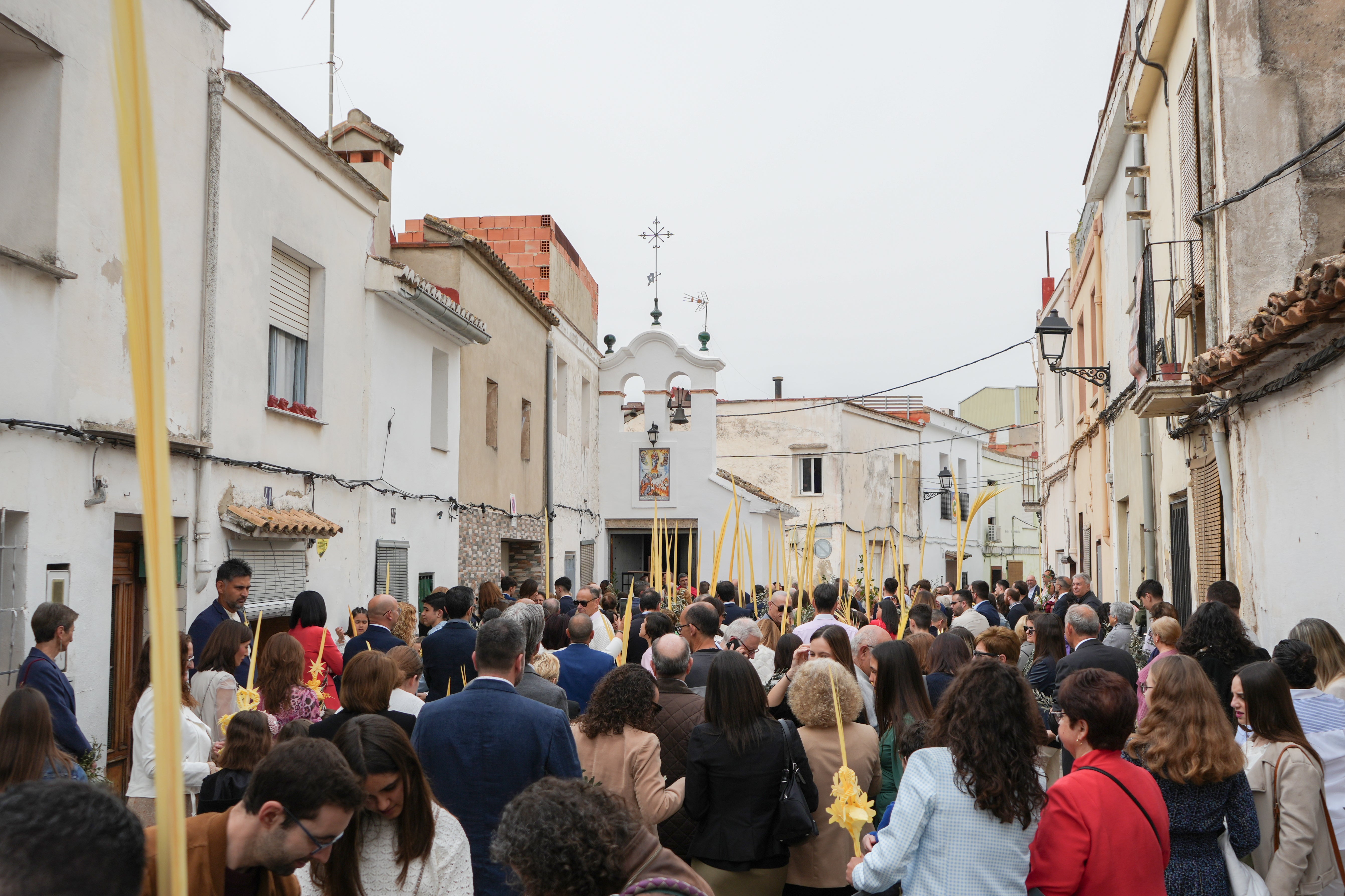 Alberic, epicentro de la Ribera durante el Domingo de Ramos Alberic, epicentro de la Ribera durante el Domingo de Ramos