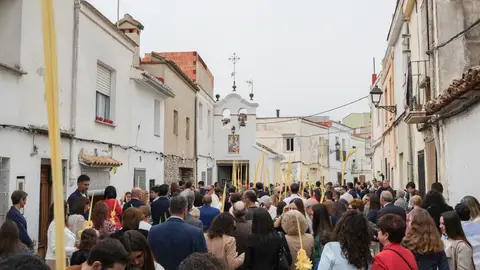 Alberic, epicentro de la Ribera durante el Domingo de Ramos Alberic, epicentro de la Ribera durante el Domingo de Ramos