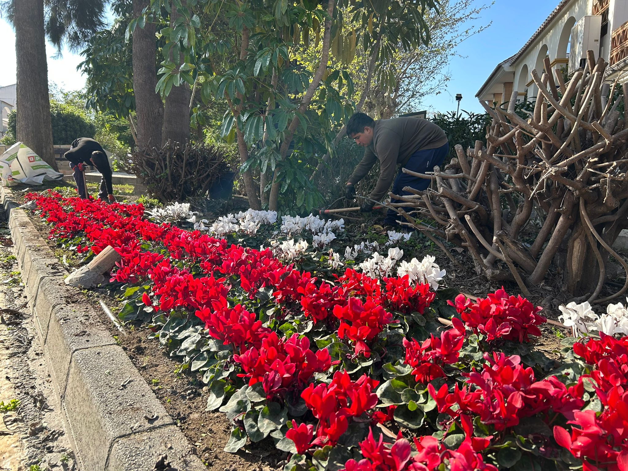 Pizarra refuerza el cuidado y embellecimiento de sus espacios públicos Pizarra refuerza el cuidado y embellecimiento de sus espacios públicos